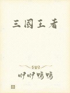 三国王者
