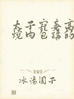 太子宠妾高肉红烧肉包讲的什么