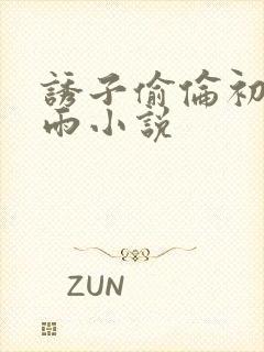 诱子偷伦初尝云雨小说封面