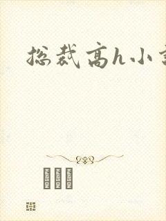 总裁高h小说封面