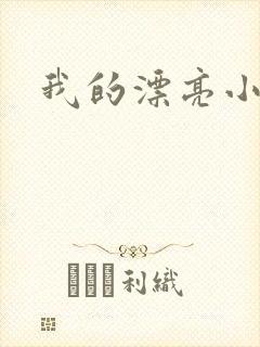 我的漂亮小后妈封面