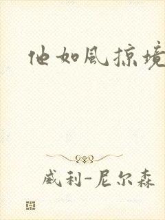 他如风掠境