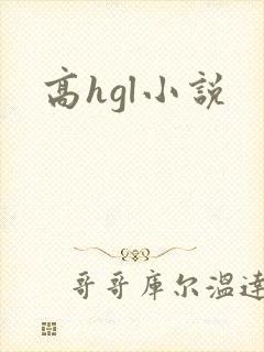 高hgl小说