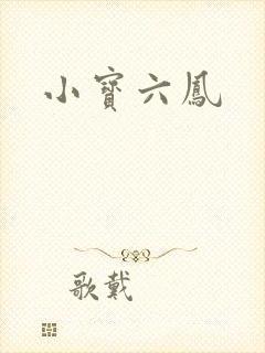 小宝六凤