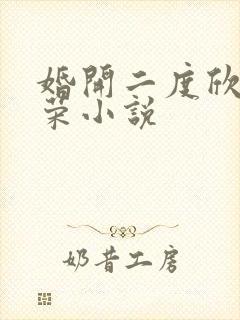 婚开二度欣欣向荣小说封面