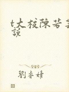 t大校陈若芸小说
