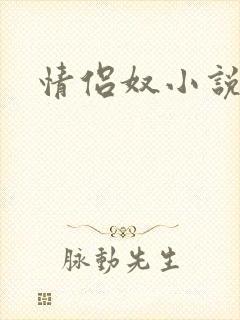 情侣奴小说封面