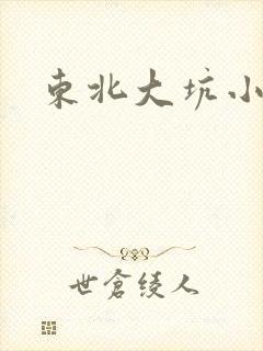 东北大坑小说