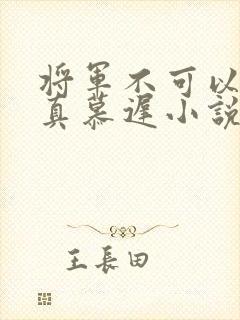 将军不可以魏云真慕迟小说笔趣阁封面