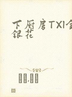 下厨房TXl金银花