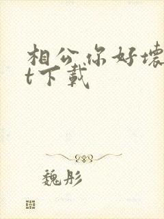 相公你好坏txt下载