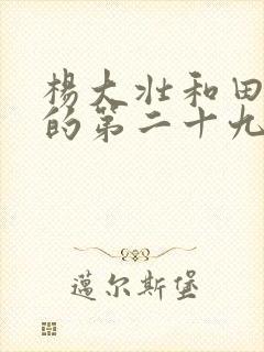 杨大壮和田桂花的第二十九封面