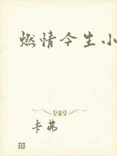 燃情今生小说