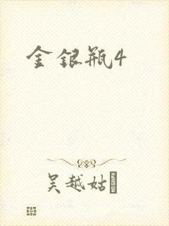 金银瓶4封面