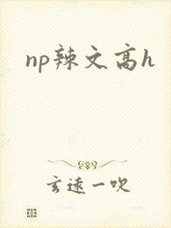 np辣文高h