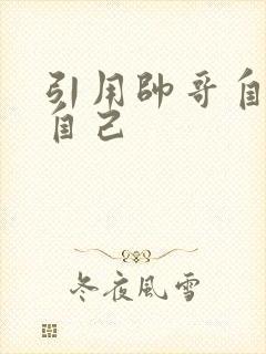 引用帅哥自己玩自己