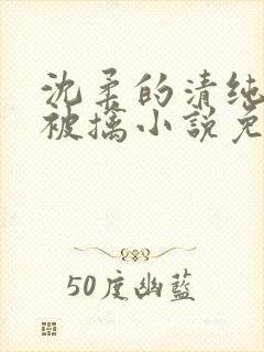 沈柔的清纯校花被擒小说免费阅读