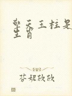 擎天玉柱是什么生肖封面