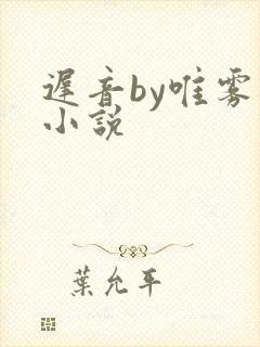 迟音by唯雾的小说