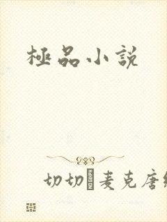极品小说