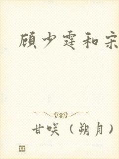 顾少霆和宋斯曼