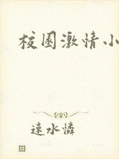 校园激情小说封面