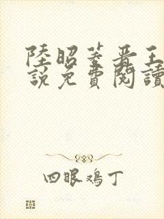 陆昭菱晋王的小说免费阅读