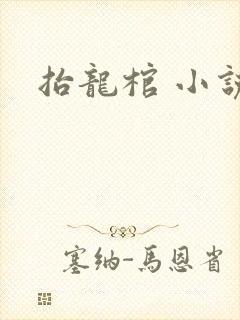 抬龙棺 小说封面