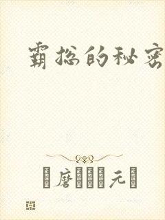 霸总的秘密教学封面