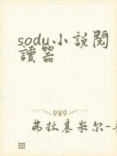 sodu小说阅读器