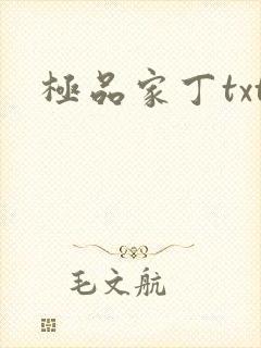 极品家丁txt