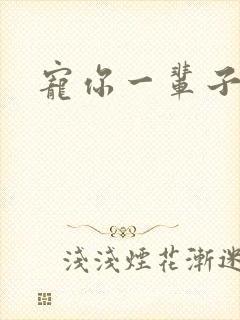 宠你一辈子封面