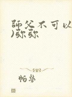 师父不可以(限)弥弥封面