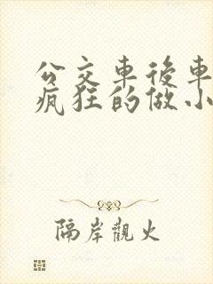 公交车后车座的疯狂的做小