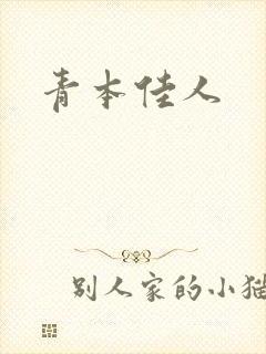 青本佳人封面