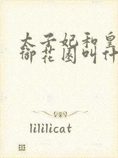 太子妃和皇帝在御花园叫什么小说