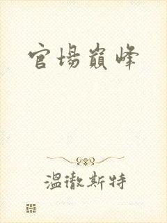 官场巅峰
