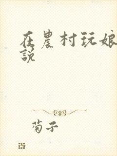 在农村玩娘俩小说