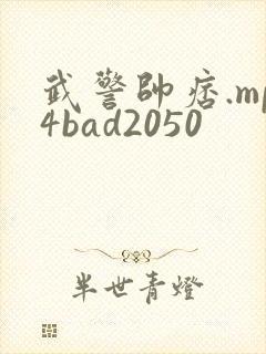 武警帅痞.mp4bad2050封面