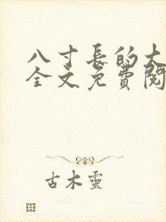 八寸长的大宝贝全文免费阅读