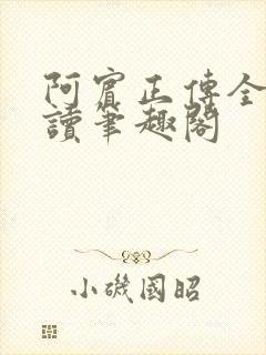 阿宾正传全文阅读笔趣阁