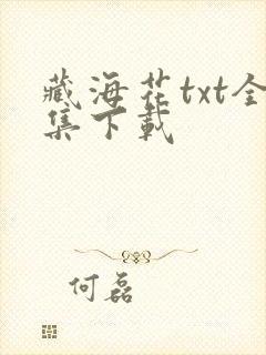 藏海花txt全集下载封面