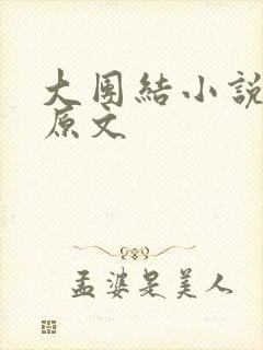 大团结小说阅读原文