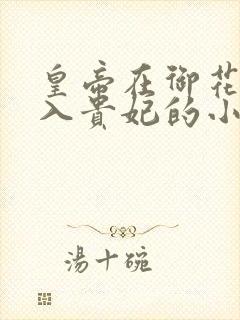 皇帝在御花园进入贵妃的小说