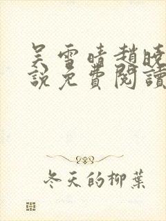 吴雪晴赵晓东小说免费阅读