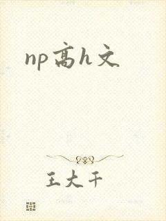 np高h文