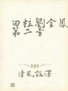 田柱刘金凤小说第二章封面