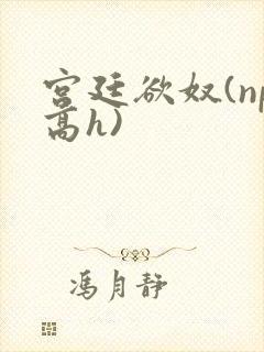 宫廷欲奴(np高h)