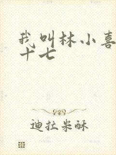 我叫林小喜今年十七
