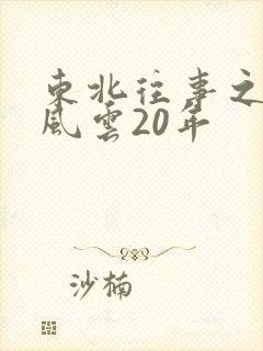 东北往事之黑道风云20年封面